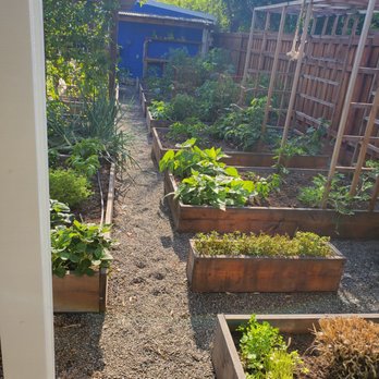 Yard to Fork - a row of raised garden beds - Landscaping Near Me - Sacramento, California Yard to Fork - a row of raised garden beds - Landscaping Near Me - Sacramento, California