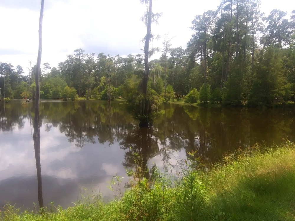 CLAIBORNE WEST PARK Updated September 2024 4105 North St, Vidor, Texas Parks Phone