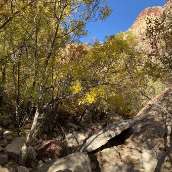Pine Creek Canyon - Hiking Near Me - Las Vegas, Nevada Pine Creek Canyon - Hiking Near Me - Las Vegas, Nevada
