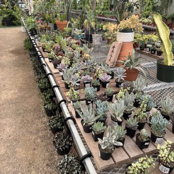 Botany - Nurseries & Gardening Near Me - Las Vegas, Nevada Botany - Nurseries & Gardening Near Me - Las Vegas, Nevada