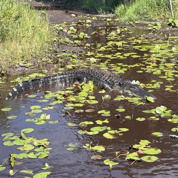 Swamp Monster Airboat Tours - Gator - Boat Tours Near Me - Pompano, Florida Swamp Monster Airboat Tours - Gator - Boat Tours Near Me - Pompano, Florida