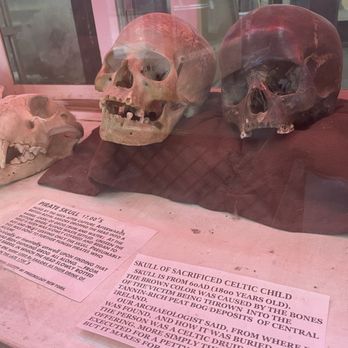 Tucson Mineral and Gem World - Skulls!!! - Gemstones & Minerals Near Me - Tucson, Arizona Tucson Mineral and Gem World - Skulls!!! - Gemstones & Minerals Near Me - Tucson, Arizona
