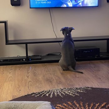 Clayton Valley Shopping Center Shopping Centers 5400 Ygnacio Valley Rd Concord Ca Phone Number Yelp