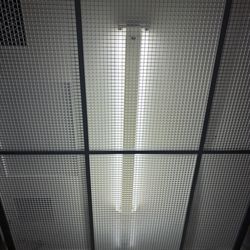 Amazing Montgomery Vector elevator, Dillard's Wiregrass Commons Mall