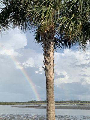 Shucker's Oyster Bar & Grill by null