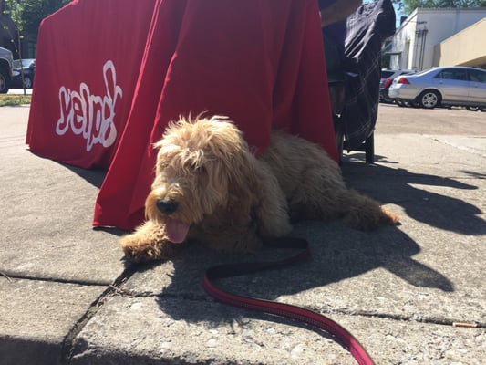 Sevier Park Community Center by null