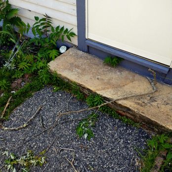 Mike's Professional Tree Service - Tree Services Near Me - Coventry, Rhode Island