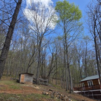 Wyrick Tree Service - Tree Services Near Me Wyrick Tree Service - Tree Services Near Me