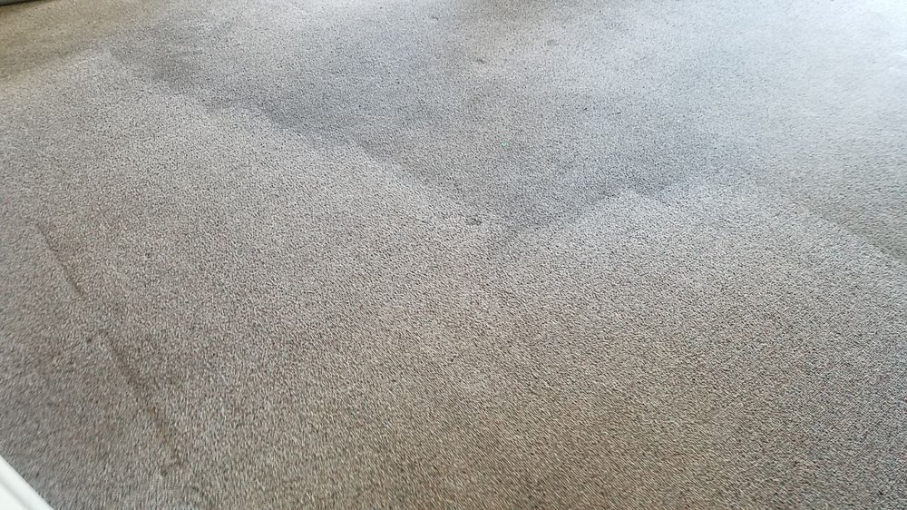 PANTINA PRO CARPET CLEANING Updated August 2024 11166 W 62nd Ave