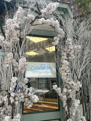 The Cookie Odyssey by null