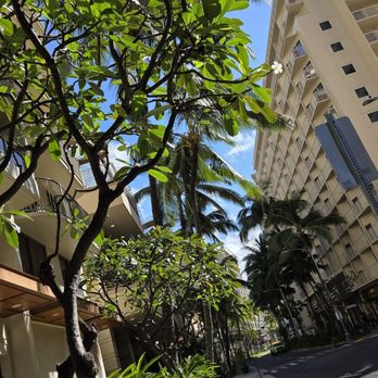Waikiki Beach Walk - Views. - Shopping Centers Near Me - Honolulu, Hawaii Waikiki Beach Walk - Views. - Shopping Centers Near Me - Honolulu, Hawaii