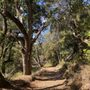 Monte Bello Open Space Preserve