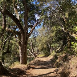 Monte Bello Open Space Preserve - Ahhhhh, sweet tranquility