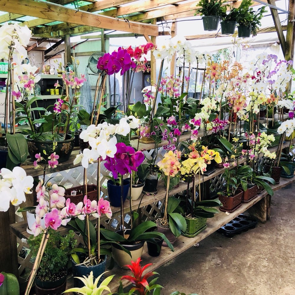 JRN Nursery - Nurseries & Gardening Near Me - Houston, Texas JRN Nursery - Nurseries & Gardening Near Me - Houston, Texas