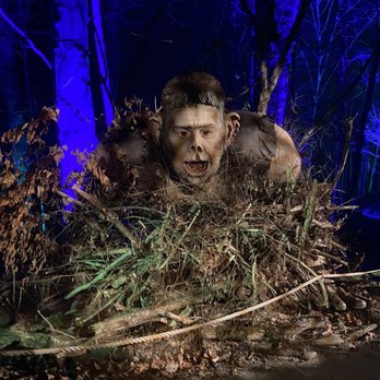 Harry Potter -  A Forbidden Forest Experience - Walking Tours Near Me - Yorktown Heights, New York