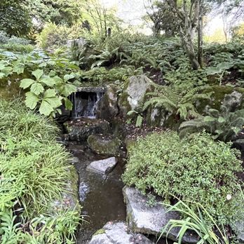 Bellevue Botanical Garden - Botanical Gardens Near Me - Bellevue, Washington