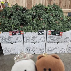 Trader Joe's - Christmas wreaths for $12.99...