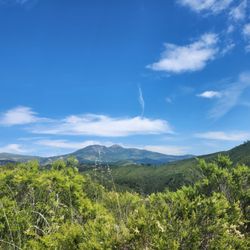 Cleveland National Forest
