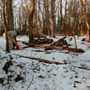 Photo of Kepler Overlook Trail