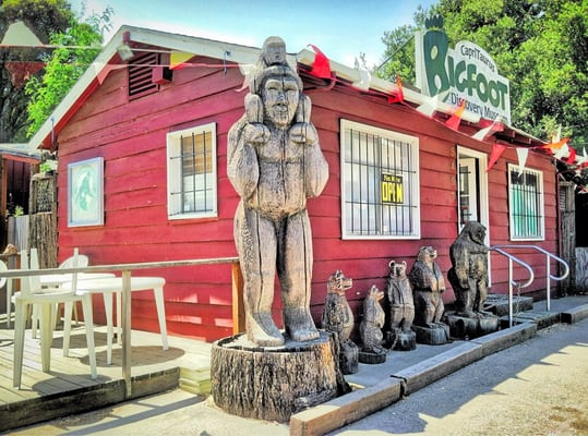 Bigfoot Discovery Museum by null