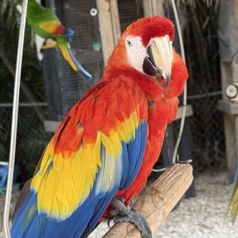 Delray Garden Center - Nurseries & Gardening Near Me - Delray Beach, Florida