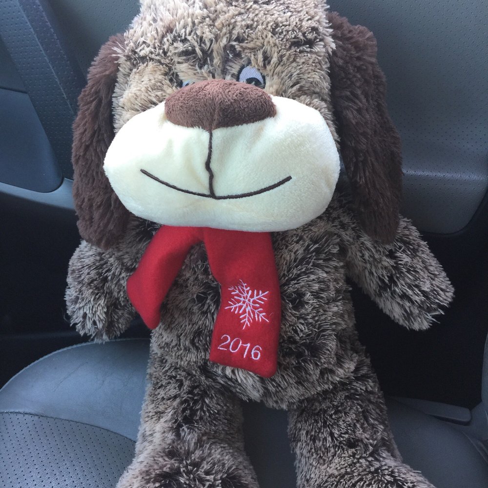 PetSmart - They partnered with Texas children's and if you buy this for your pet for $5 --10% goes to pet smart charities - Pet Stores Near Me - Baytown, Texas PetSmart - They partnered with Texas children's and if you buy this for your pet for $5 --10% goes to pet smart charities - Pet Stores Near Me - Baytown, Texas