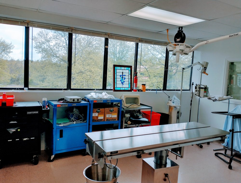 BEST FRIENDS’ VETERINARY HOSPITAL Updated September 2024 32 Photos