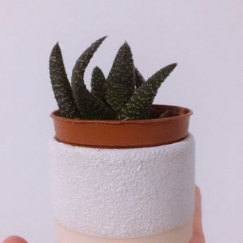 Pigment - Home Decor Near Me - San Diego, California Pigment - Home Decor Near Me - San Diego, California
