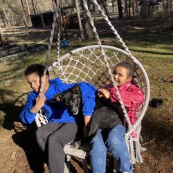 Allen Creek Veterinary Hospital - Our doggie Rogue recovering with our kiddos