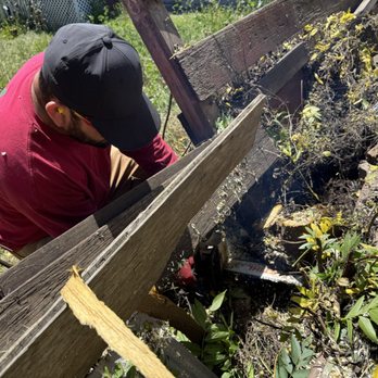 Ramces Tree Services - Cutting tree stump and all the roots - Tree Services Near Me Ramces Tree Services - Cutting tree stump and all the roots - Tree Services Near Me