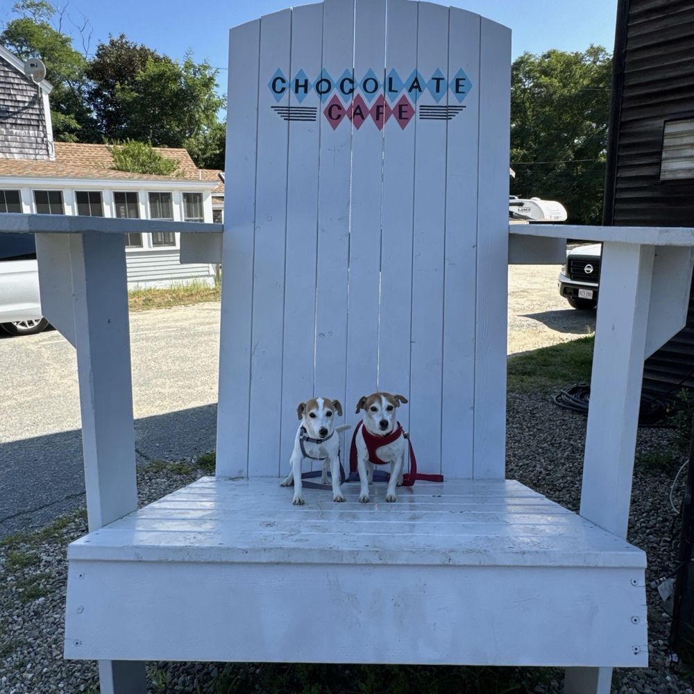 Chocolate Cafe - Giant Adirondack chair out front - Coffee & Tea Near Me - Eastham, Massachusetts Chocolate Cafe - Giant Adirondack chair out front - Coffee & Tea Near Me - Eastham, Massachusetts