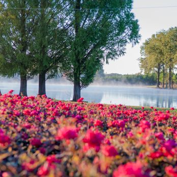 Latham's Nursery Inc. - Nurseries & Gardening Near Me - Monroe, North Carolina Latham's Nursery Inc. - Nurseries & Gardening Near Me - Monroe, North Carolina