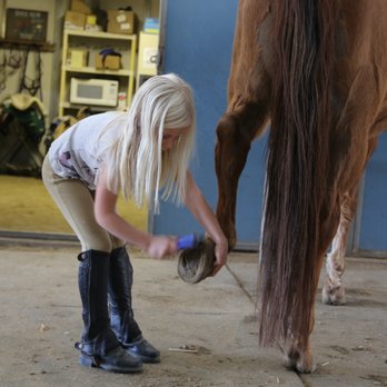 Tally Ho Horse Park - Horseback Riding Near Me - Clovis, California Tally Ho Horse Park - Horseback Riding Near Me - Clovis, California