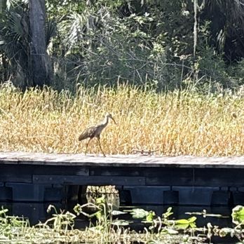 Hontoon Island State Park - Parks Near Me - DeLand, Florida Hontoon Island State Park - Parks Near Me - DeLand, Florida