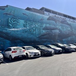 Exterior photo of Wyland Galleries - Laguna Beach, California Exterior photo of Wyland Galleries - Laguna Beach, California