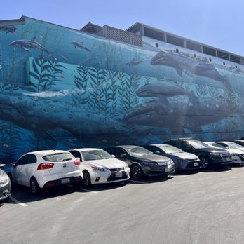 Wyland Galleries - The parking lot next to the Wyland galleries hosts an outdoor mural featuring killer whales. This artist is famous for his whale murals! - Art Galleries Near Me - Laguna Beach, California Wyland Galleries - The parking lot next to the Wyland galleries hosts an outdoor mural featuring killer whales. This artist is famous for his whale murals! - Art Galleries Near Me - Laguna Beach, California