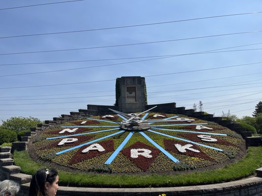 Floral Clock by null