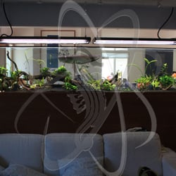 Aquarium Science