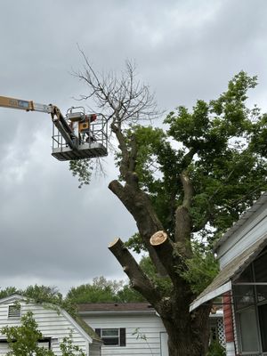 Lake State Landscaping & Snow Removal