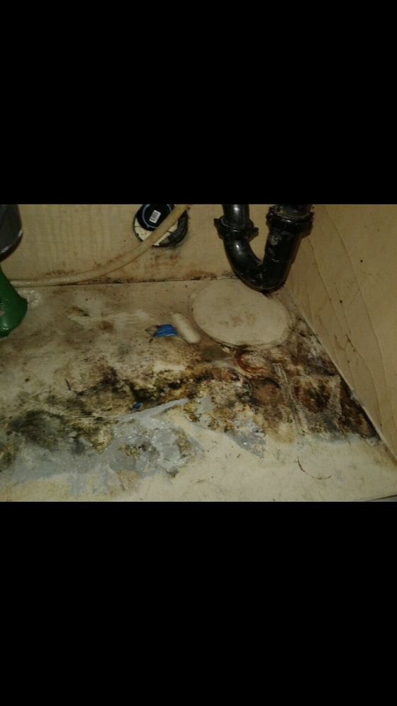 Slide of Sun City Mold Services
