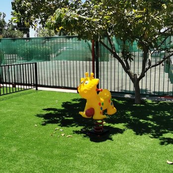 Element Playsets - Playsets Near Me Element Playsets - Playsets Near Me