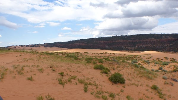 Coral Pink Sand Dunes State Park by null