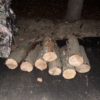 Rocky's Ace Hardware - Several cut logs are arranged on the ground near a tree in an outdoor setting. The logs are of varying lengths and are placed on a dark, paved surface. The background shows soil and a tree trunk, with minimal lighting illuminating the scene. - Hardware Stores Near Me - Northborough, Massachusetts