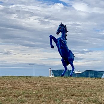 Blue Mustang - With the stadium behind it - Public Art Near Me - Denver, Colorado Blue Mustang - With the stadium behind it - Public Art Near Me - Denver, Colorado