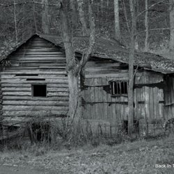 French Broad Imaging