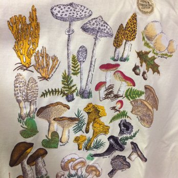 Wild Things - Jewelry Near Me - Sebastopol, California