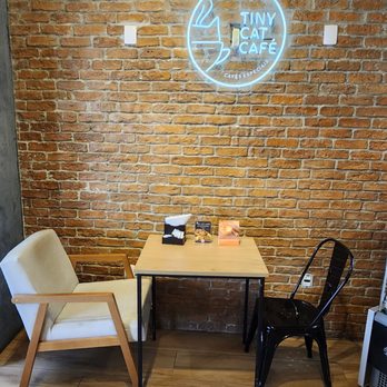 tiny cat cafe - Cafes Near Me