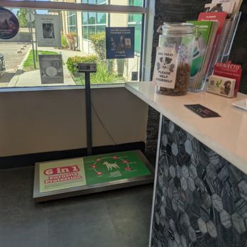 Golden Valley Vet - Veterinarians Near Me - Lathrop, California Golden Valley Vet - Veterinarians Near Me - Lathrop, California