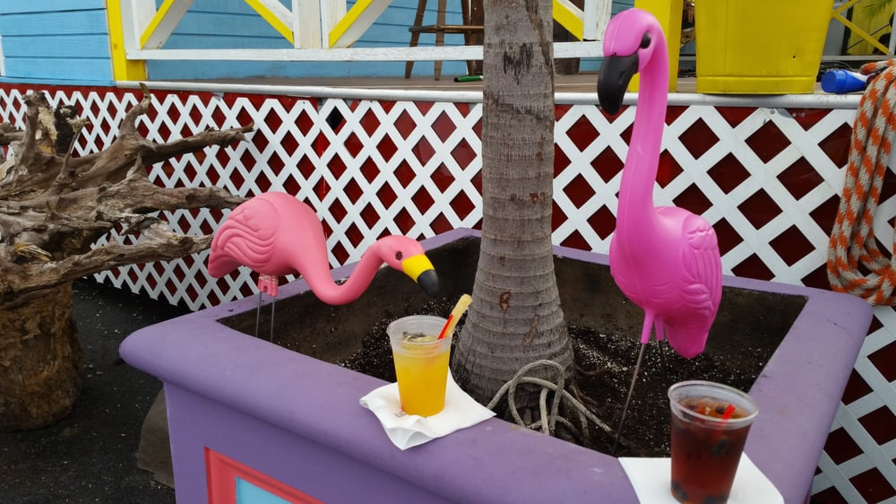 TOE JAM BACKLOT Updated September 2024 13 Photos 150 NW 21st St