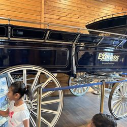Express Clydesdales